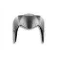 DBK Special Parts (Ducabike) Carbon Front Fender for Ducati Monster 937